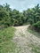 First image of Lot 12- Fontabelle in Fontabelle, St. Mary, Jamaica - property is For Sale
