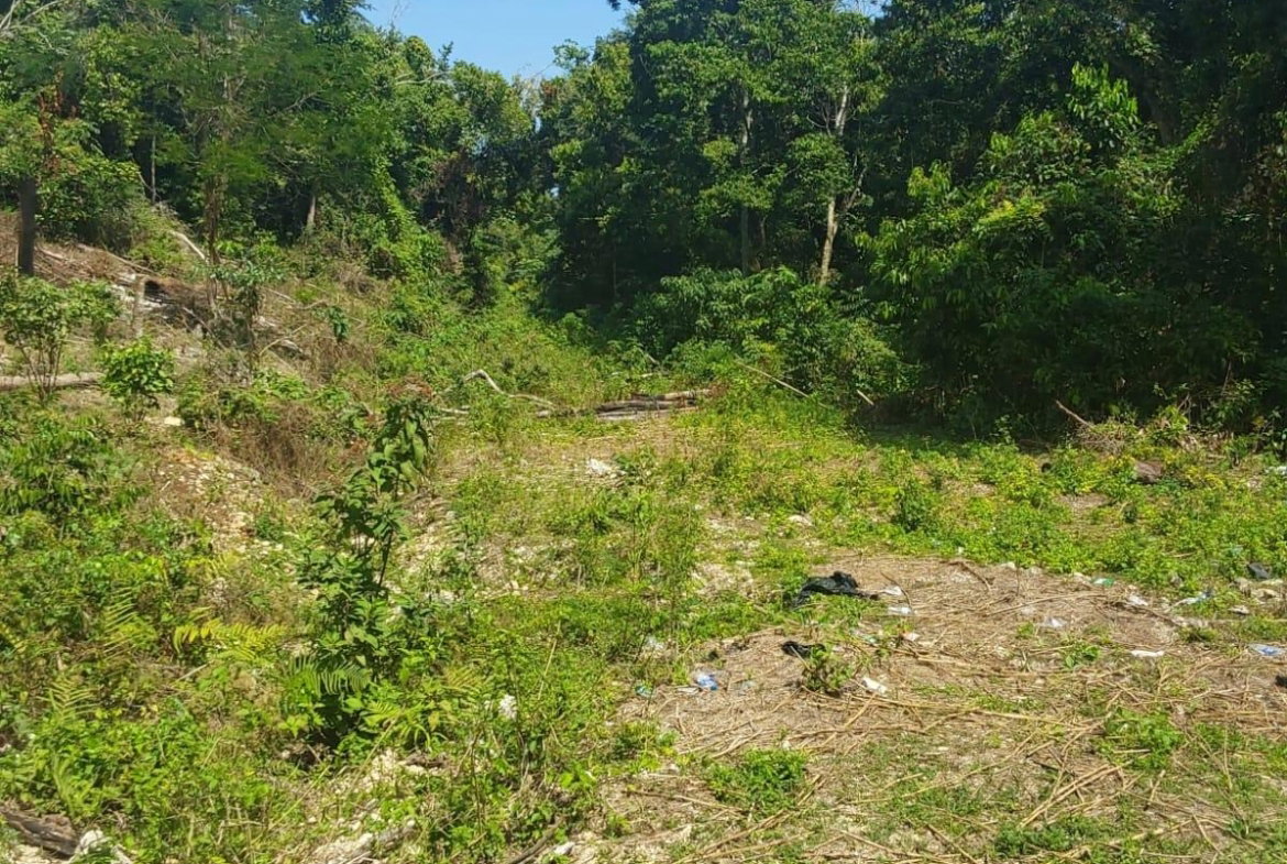 Eleventh image of Spring Gardens, Claridge in Spring Garden, St. James, Jamaica - property is For Sale