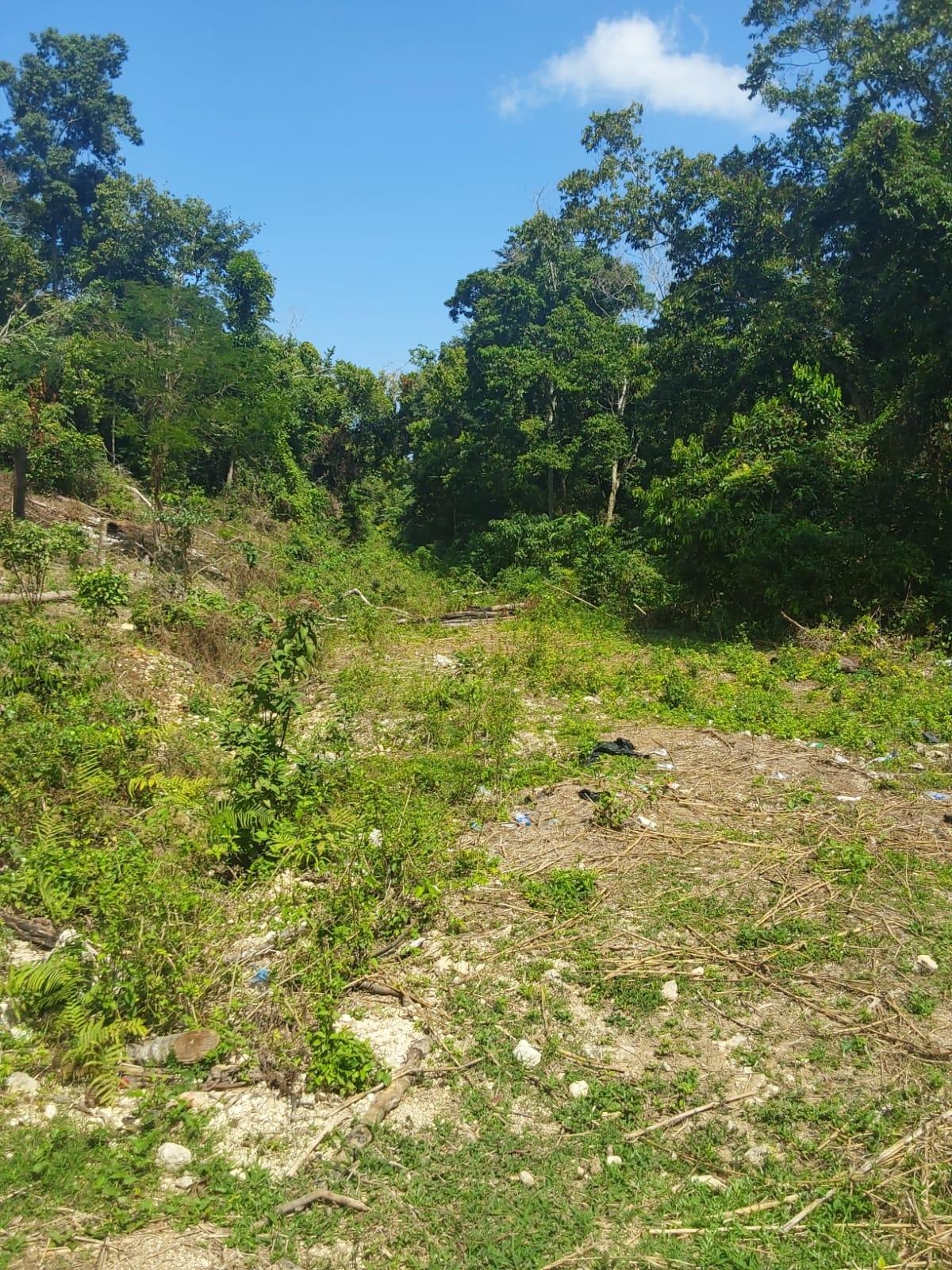 Eleventh image of Spring Gardens, Claridge in Spring Garden, St. James, Jamaica - property is For Sale