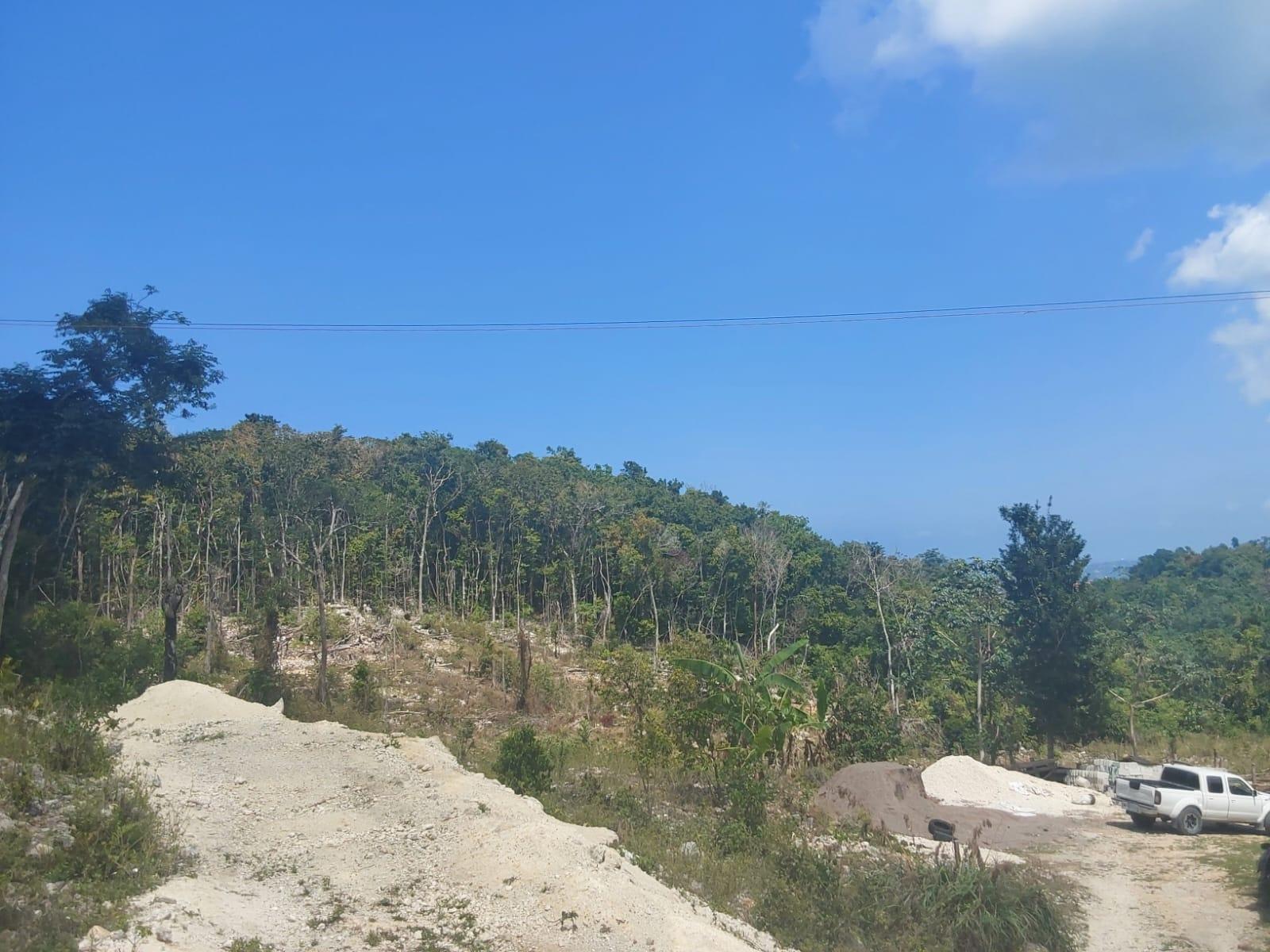 Third image of Spring Gardens, Claridge in Spring Garden, St. James, Jamaica - property is For Sale