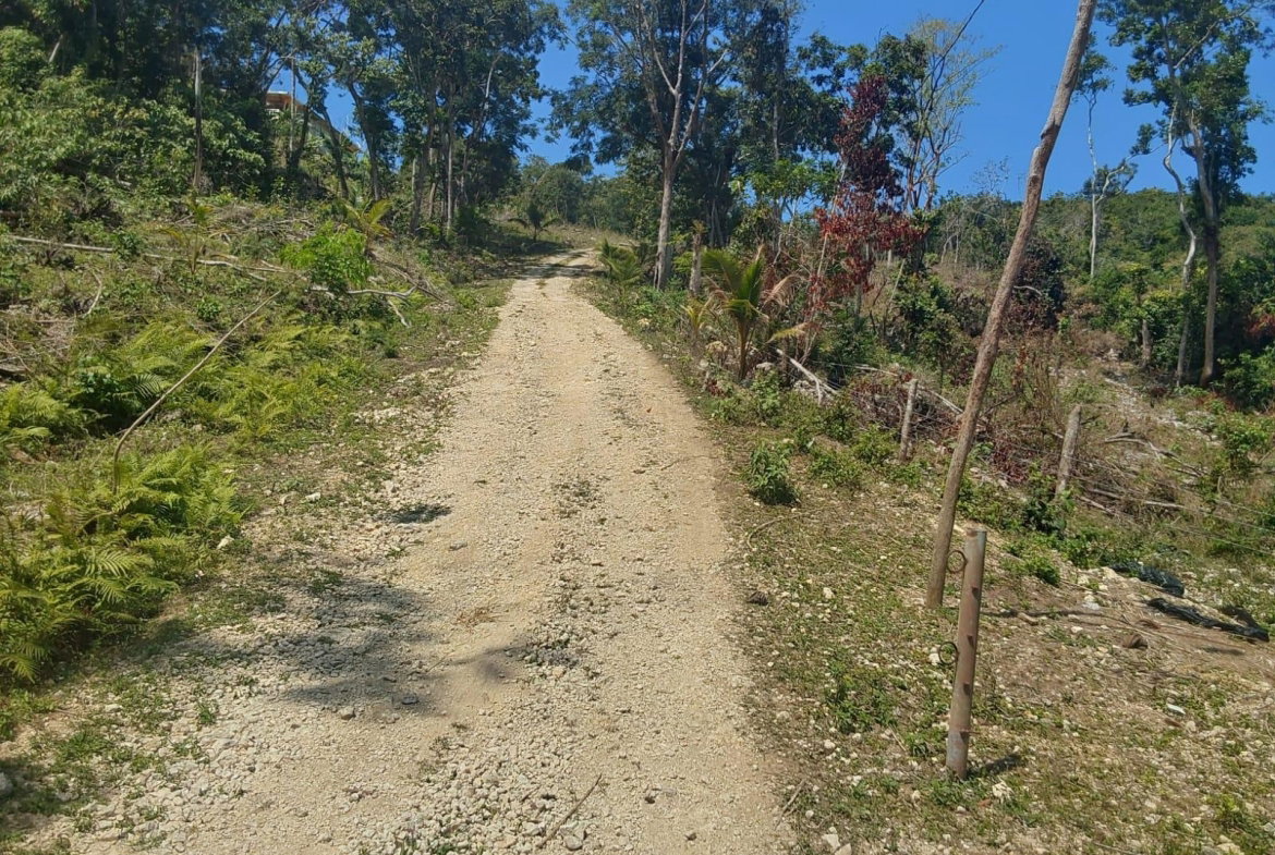 Fifth image of Spring Gardens, Claridge in Spring Garden, St. James, Jamaica - property is For Sale