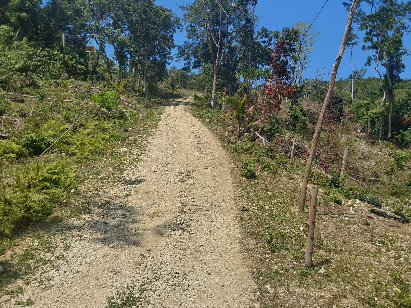 Fifth image of Spring Gardens, Claridge in Spring Garden, St. James, Jamaica - property is For Sale