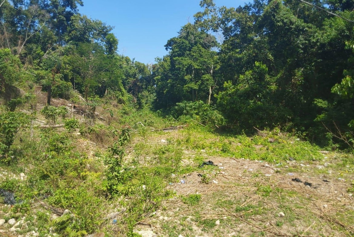 Tenth image of Spring Gardens, Claridge in Spring Garden, St. James, Jamaica - property is For Sale