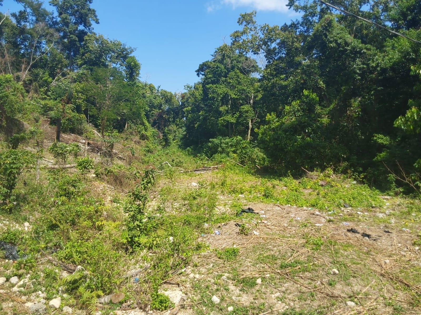 Tenth image of Spring Gardens, Claridge in Spring Garden, St. James, Jamaica - property is For Sale