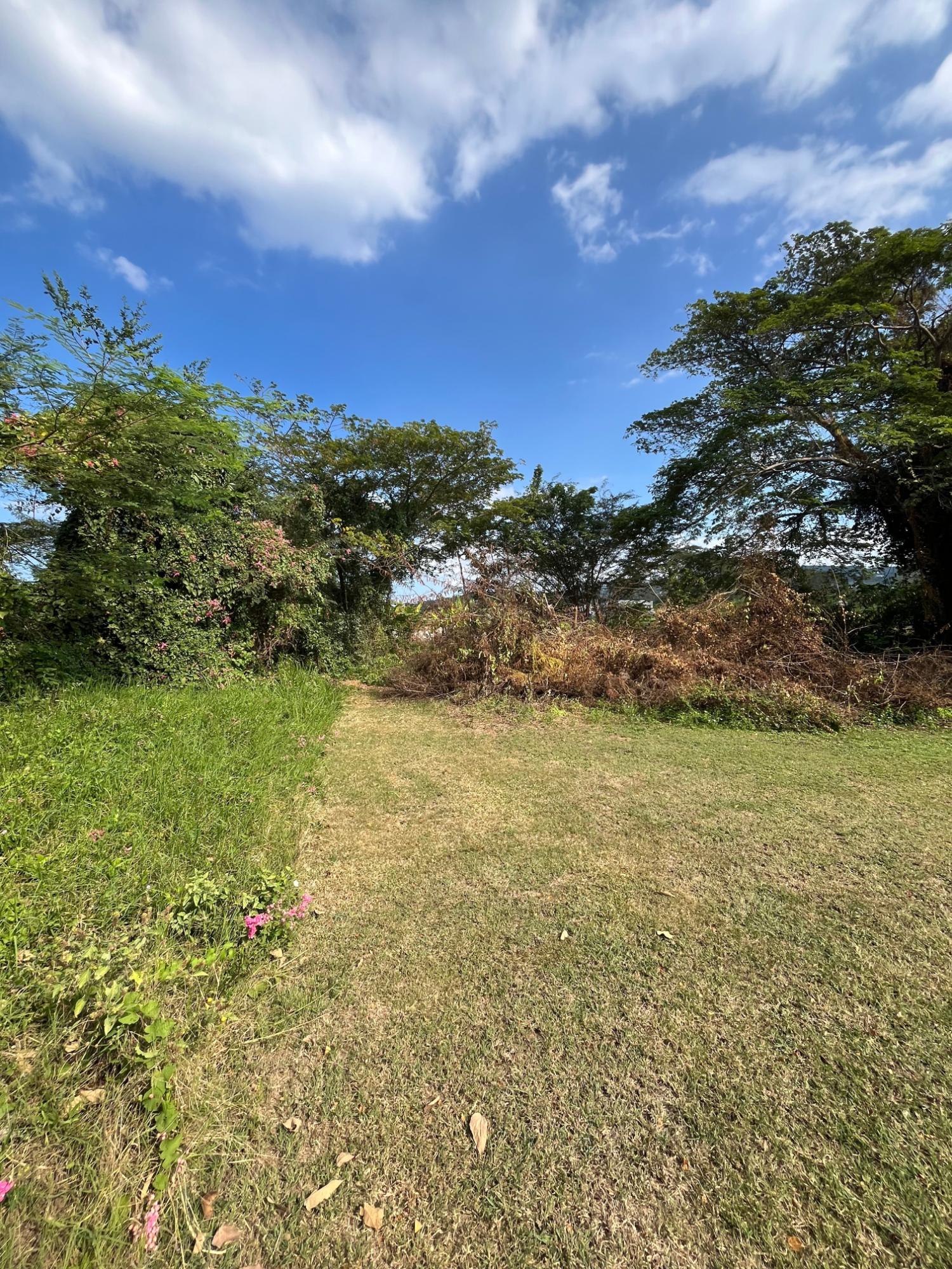 Third image of 528 Cardiff Hall in Runaway Bay, St. Ann, Jamaica - property is For Sale