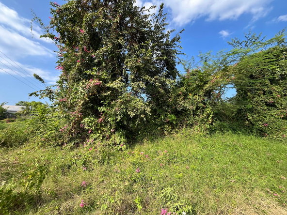 Fourth image of 528 Cardiff Hall in Runaway Bay, St. Ann, Jamaica - property is For Sale