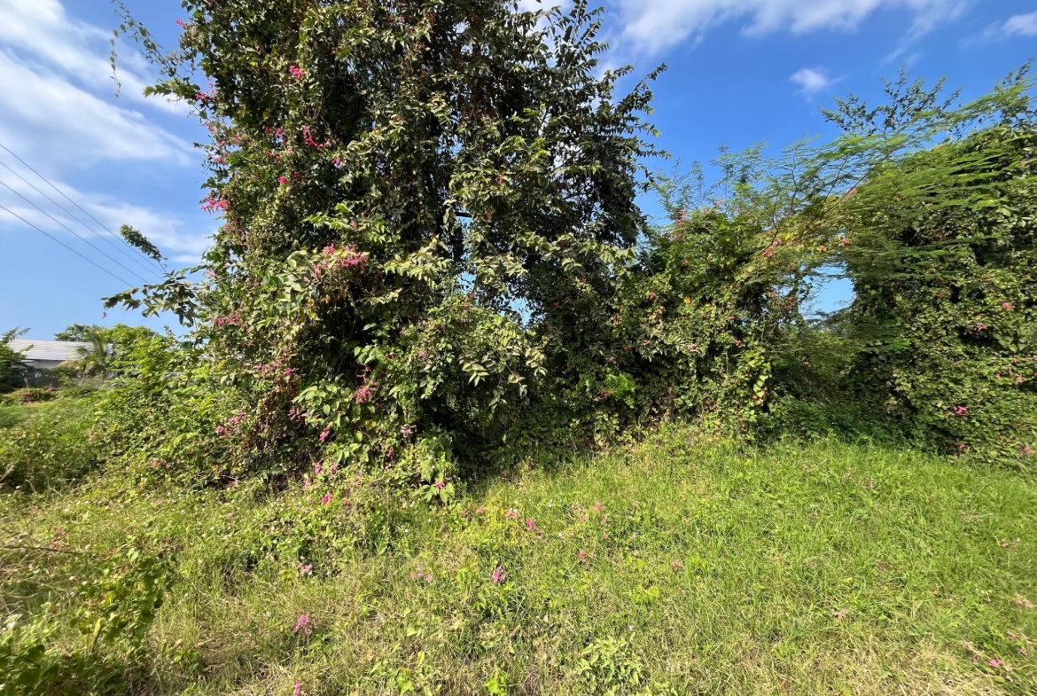 Fourth image of 530 Cardiff Hall in Runaway Bay, St. Ann, Jamaica - property is For Sale