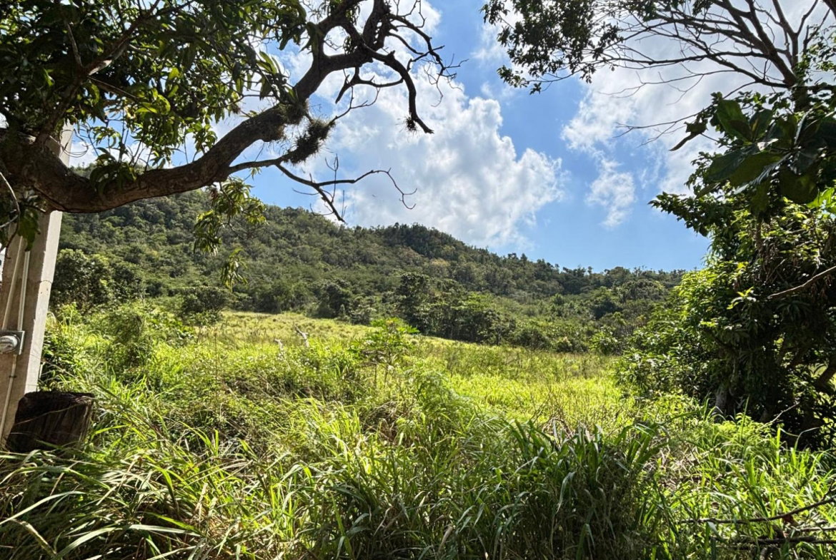 Second image of Bull Savannah in BULL SAVANNA, St. Elizabeth, Jamaica - property is For Sale