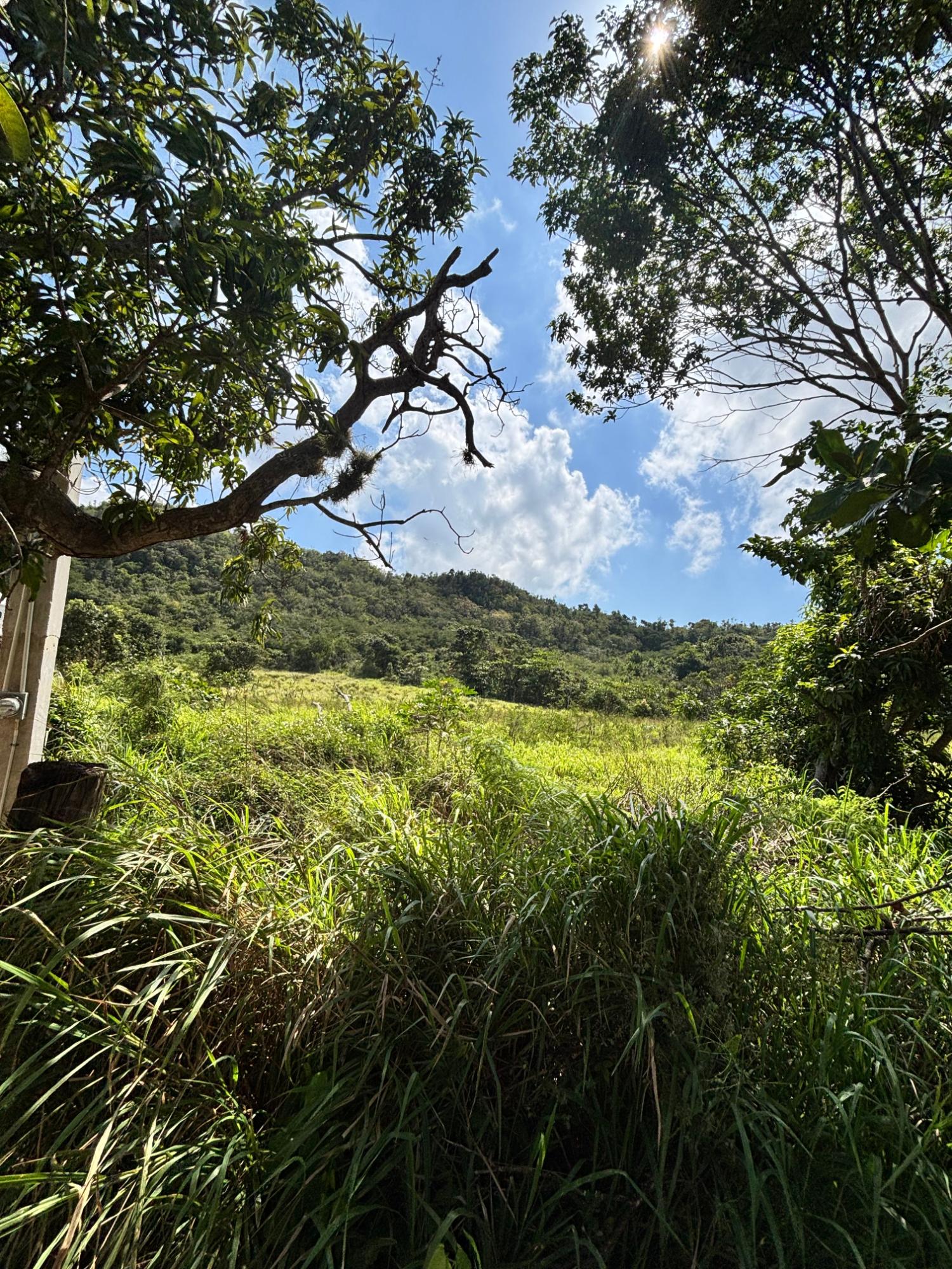 Second image of Bull Savannah in BULL SAVANNA, St. Elizabeth, Jamaica - property is For Sale