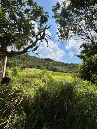 Second image of Bull Savannah in BULL SAVANNA, St. Elizabeth, Jamaica - property is For Sale