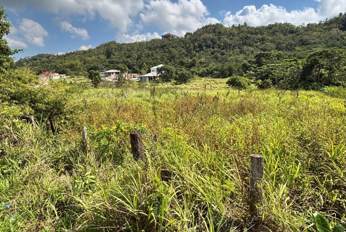 First image of Bull Savannah in BULL SAVANNA, St. Elizabeth, Jamaica - property is For Sale