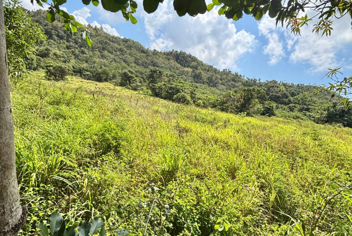 Third image of Bull Savannah in BULL SAVANNA, St. Elizabeth, Jamaica - property is For Sale