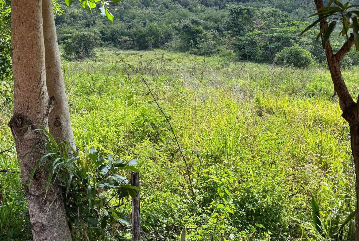 Fifth image of Bull Savannah in BULL SAVANNA, St. Elizabeth, Jamaica - property is For Sale