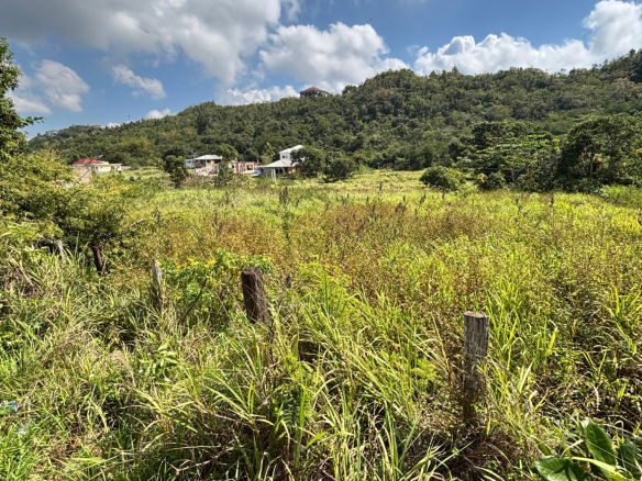 First image of Bull Savannah in BULL SAVANNA, St. Elizabeth, Jamaica - property is For Sale