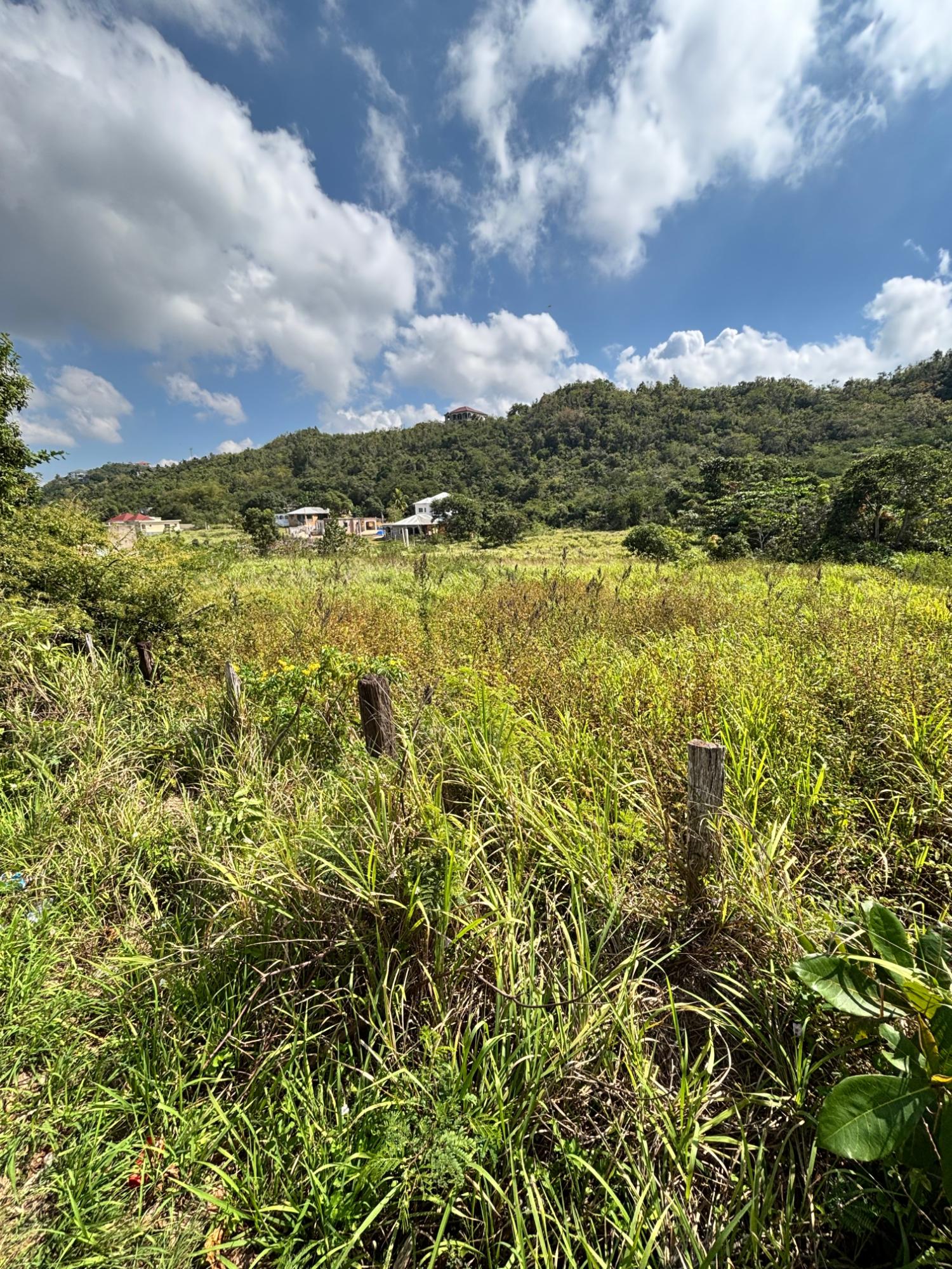 First image of Bull Savannah in BULL SAVANNA, St. Elizabeth, Jamaica - property is For Sale