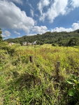First image of Bull Savannah in BULL SAVANNA, St. Elizabeth, Jamaica - property is For Sale