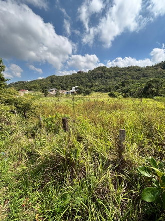 First image of Bull Savannah in BULL SAVANNA, St. Elizabeth, Jamaica - property is For Sale