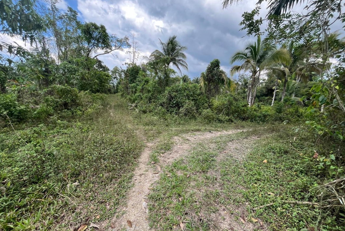 Second image of 113 Belvidere Pen in Chester Castle, Hanover, Jamaica - property is For Sale