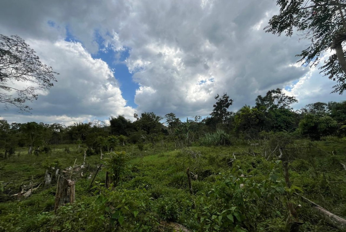 First image of 113 Belvidere Pen in Chester Castle, Hanover, Jamaica - property is For Sale
