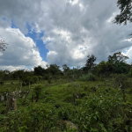 First image of 113 Belvidere Pen in Chester Castle, Hanover, Jamaica - property is For Sale