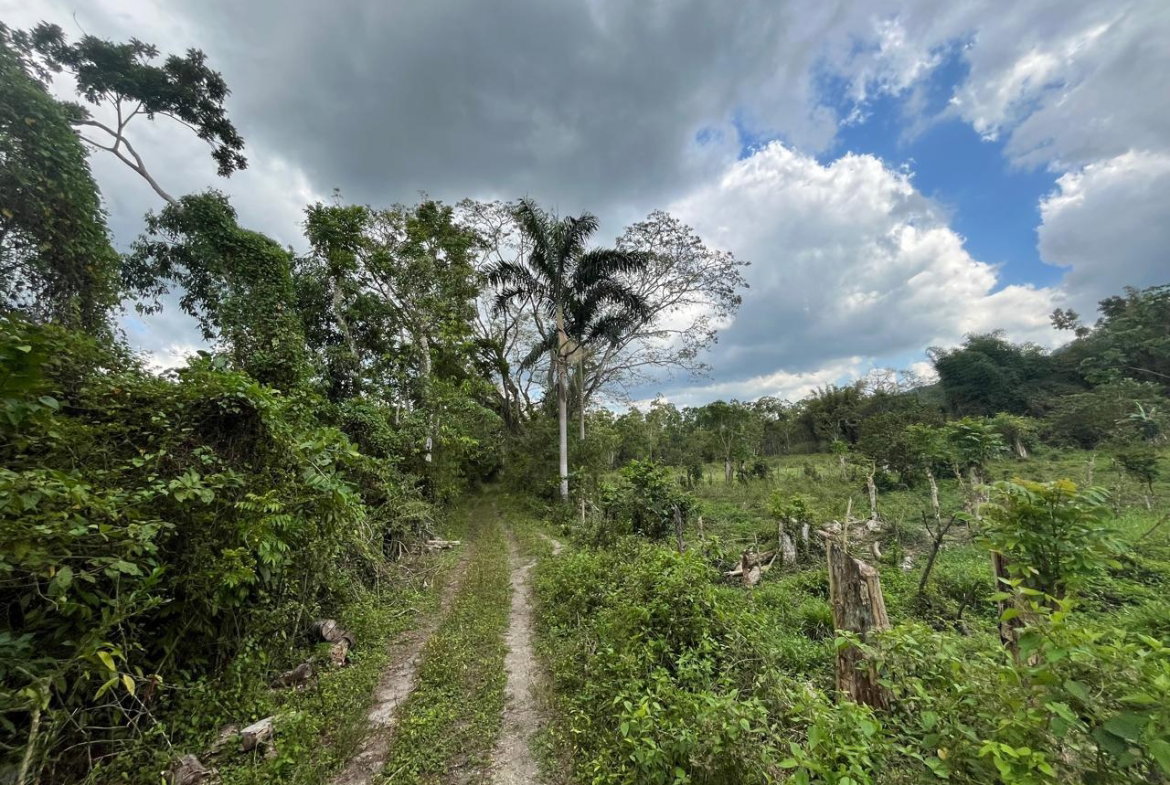 Third image of 113 Belvidere Pen in Chester Castle, Hanover, Jamaica - property is For Sale