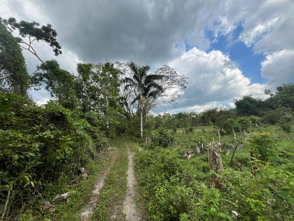 Third image of 113 Belvidere Pen in Chester Castle, Hanover, Jamaica - property is For Sale