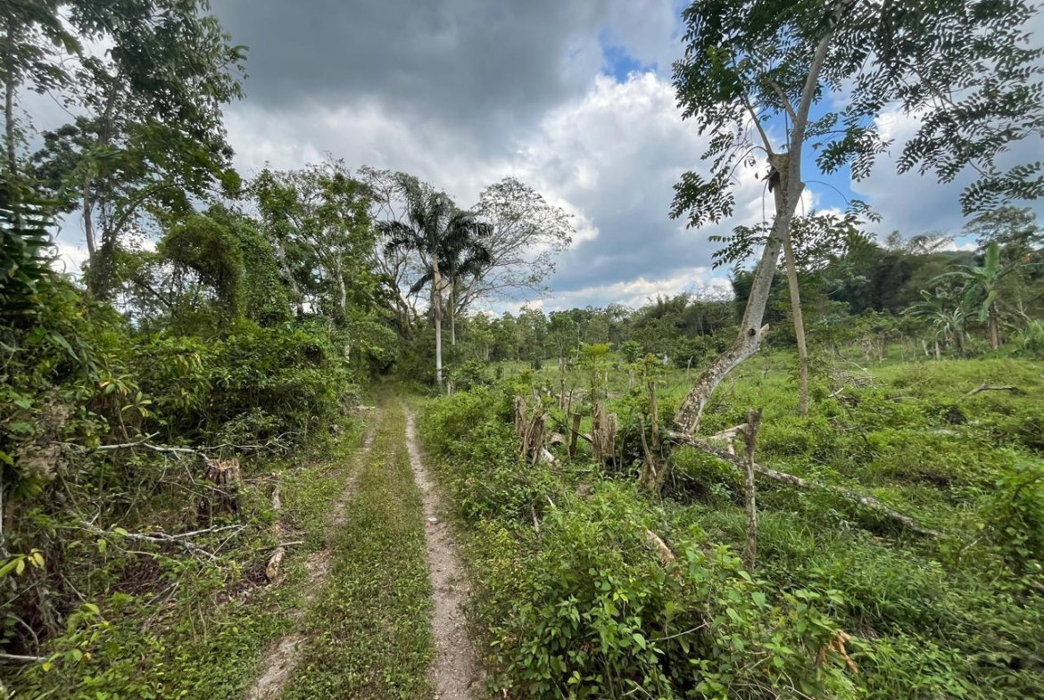 Fourth image of 113 Belvidere Pen in Chester Castle, Hanover, Jamaica - property is For Sale