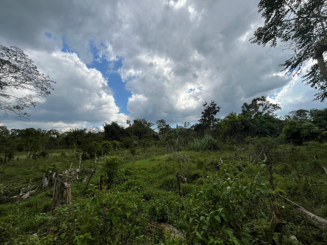 2.81-Acres-of-Prime-Farmland-for-Sale-in-Hanover-Jamaica First image of 113 Belvidere Pen in Chester Castle, Hanover, Jamaica - property is For Sale