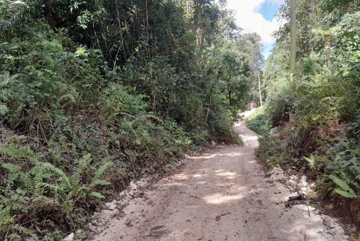 Second image of Lot 1 Gayle District St. Mary in Gayle, St. Mary, Jamaica - property is For Sale