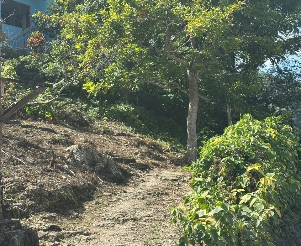 Seventh image of Lot 1 Gayle District St. Mary in Gayle, St. Mary, Jamaica - property is For Sale