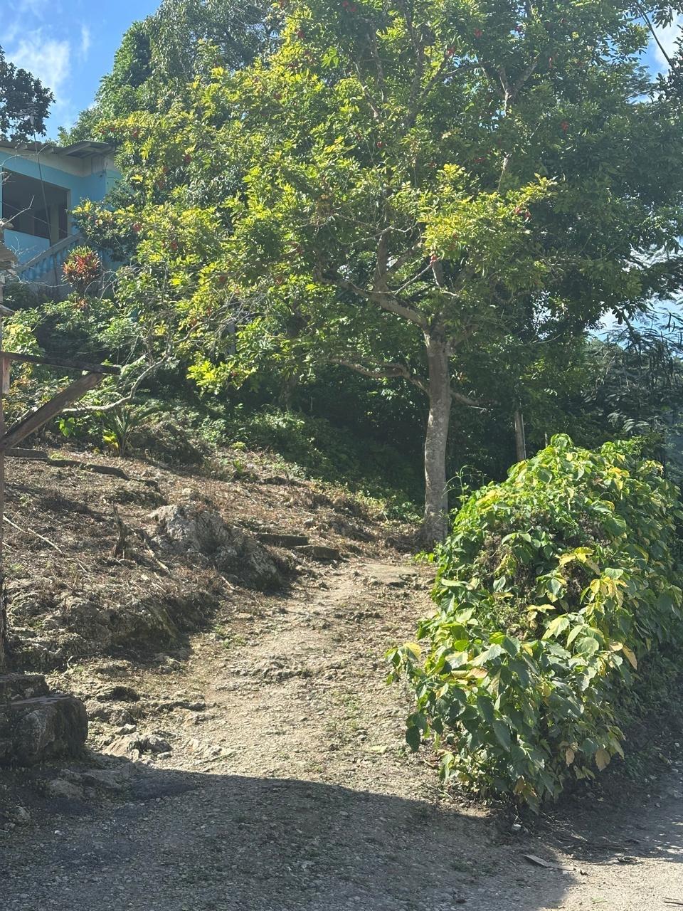 Seventh image of Lot 1 Gayle District St. Mary in Gayle, St. Mary, Jamaica - property is For Sale