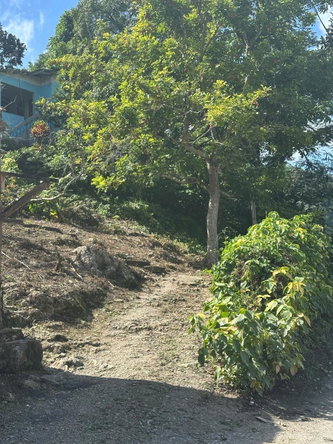 Seventh image of Lot 1 Gayle District St. Mary in Gayle, St. Mary, Jamaica - property is For Sale