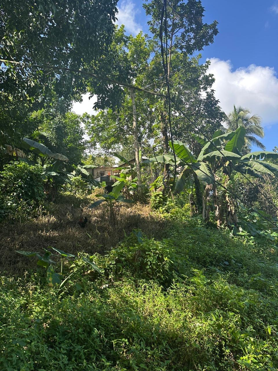 Eighth image of Lot 1 Gayle District St. Mary in Gayle, St. Mary, Jamaica - property is For Sale