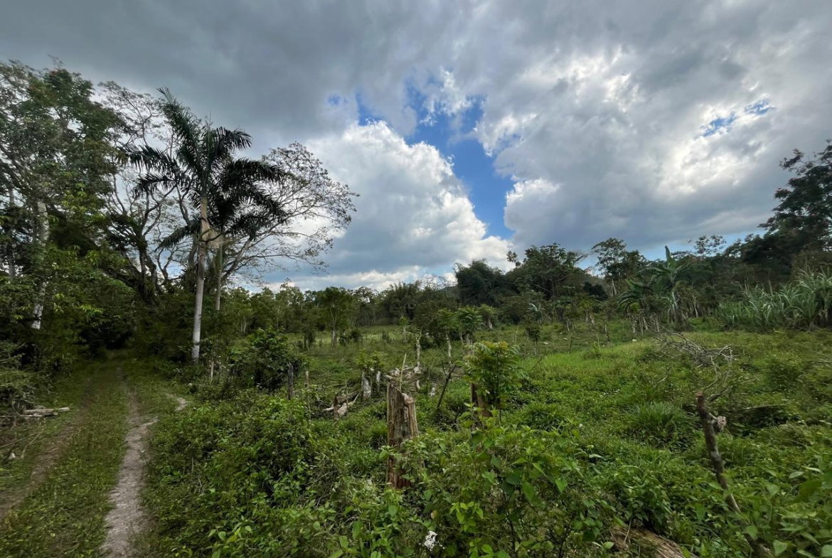 First image of 112 Belvidere Pen in Chester Castle, Hanover, Jamaica - property is For Sale