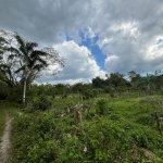 First image of 112 Belvidere Pen in Chester Castle, Hanover, Jamaica - property is For Sale