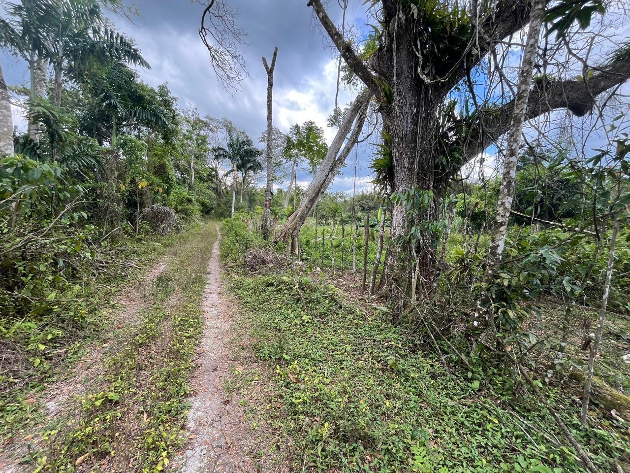 Fourth image of 112 Belvidere Pen in Chester Castle, Hanover, Jamaica - property is For Sale
