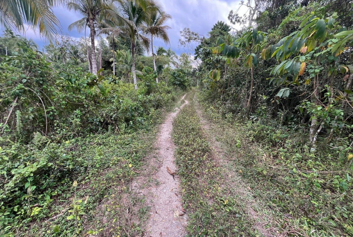 Sixth image of 112 Belvidere Pen in Chester Castle, Hanover, Jamaica - property is For Sale