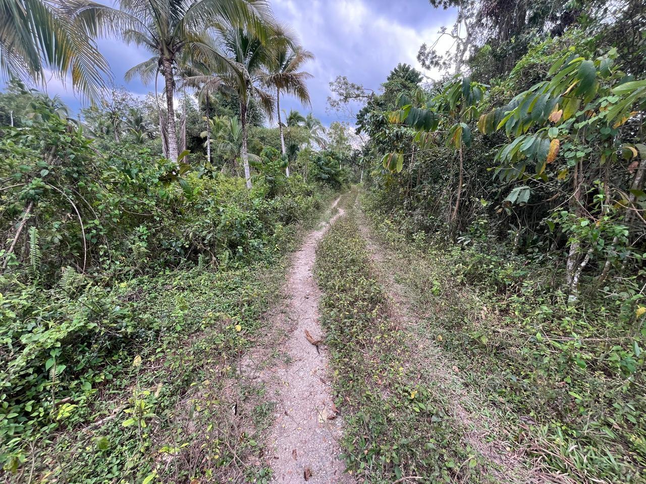 Sixth image of 112 Belvidere Pen in Chester Castle, Hanover, Jamaica - property is For Sale