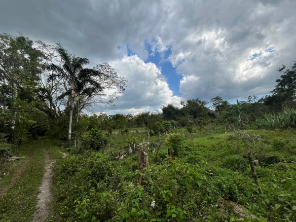 First image of 112 Belvidere Pen in Chester Castle, Hanover, Jamaica - property is For Sale