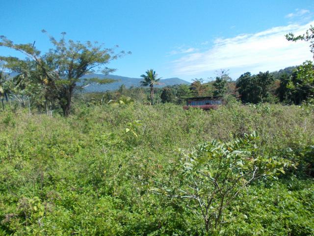 Second image of Potosi in Port Morant, St. Thomas, Jamaica - property is For Sale