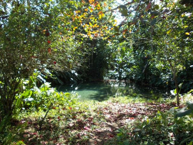Fourth image of Potosi in Port Morant, St. Thomas, Jamaica - property is For Sale