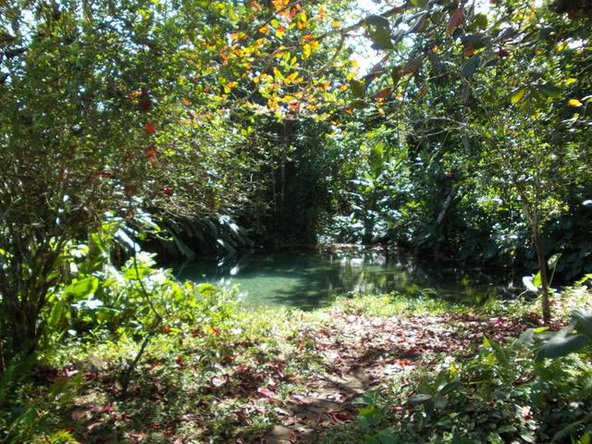 Fourth image of Potosi in Port Morant, St. Thomas, Jamaica - property is For Sale
