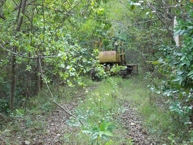 Fifth image of Potosi in Port Morant, St. Thomas, Jamaica - property is For Sale