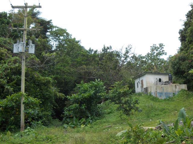Eighth image of Potosi in Port Morant, St. Thomas, Jamaica - property is For Sale