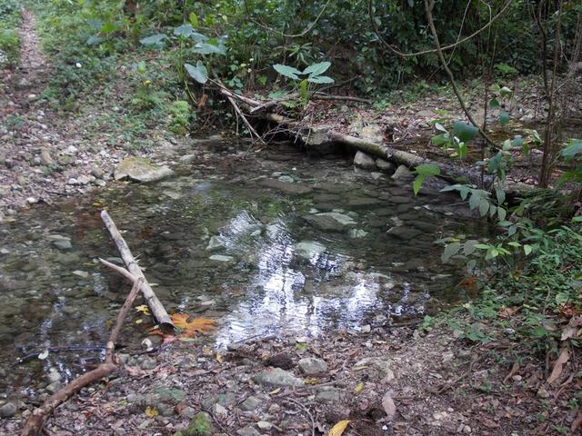 Ninth image of Potosi in Port Morant, St. Thomas, Jamaica - property is For Sale