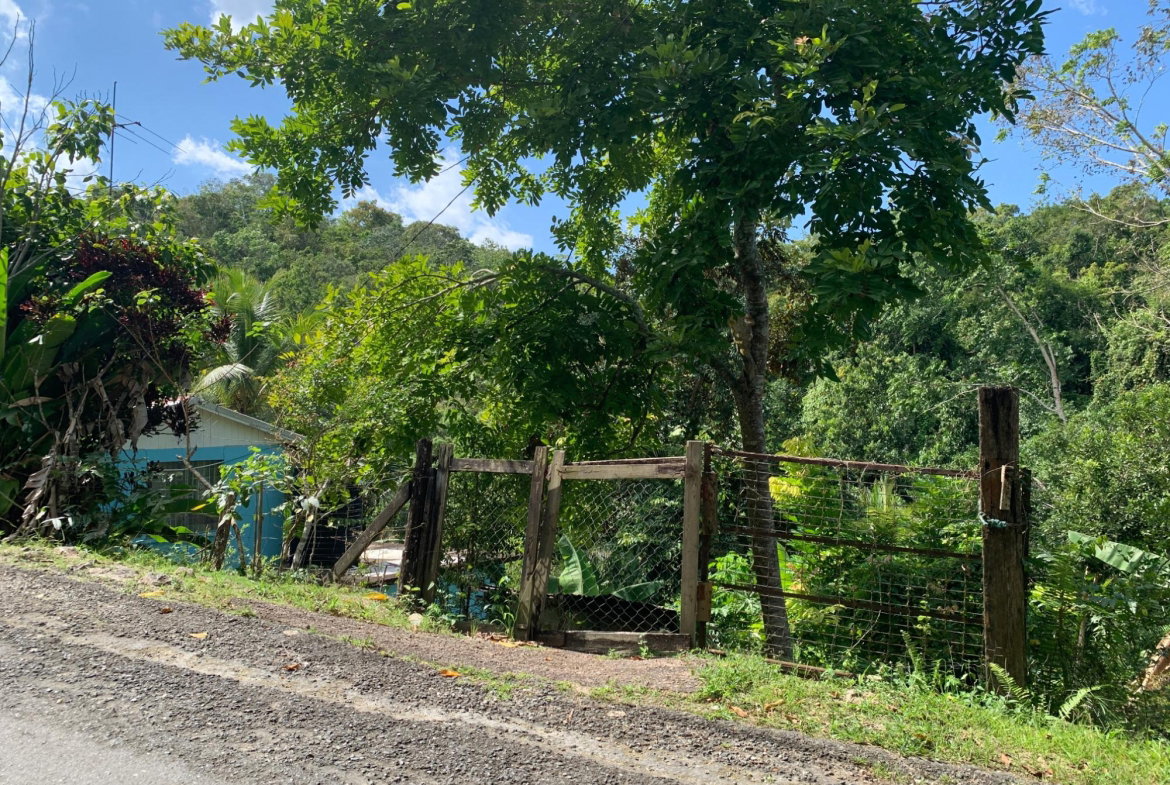 Thirteenth image of 186 Queenhythe in Queenhythe, St. Ann, Jamaica - property is For Sale