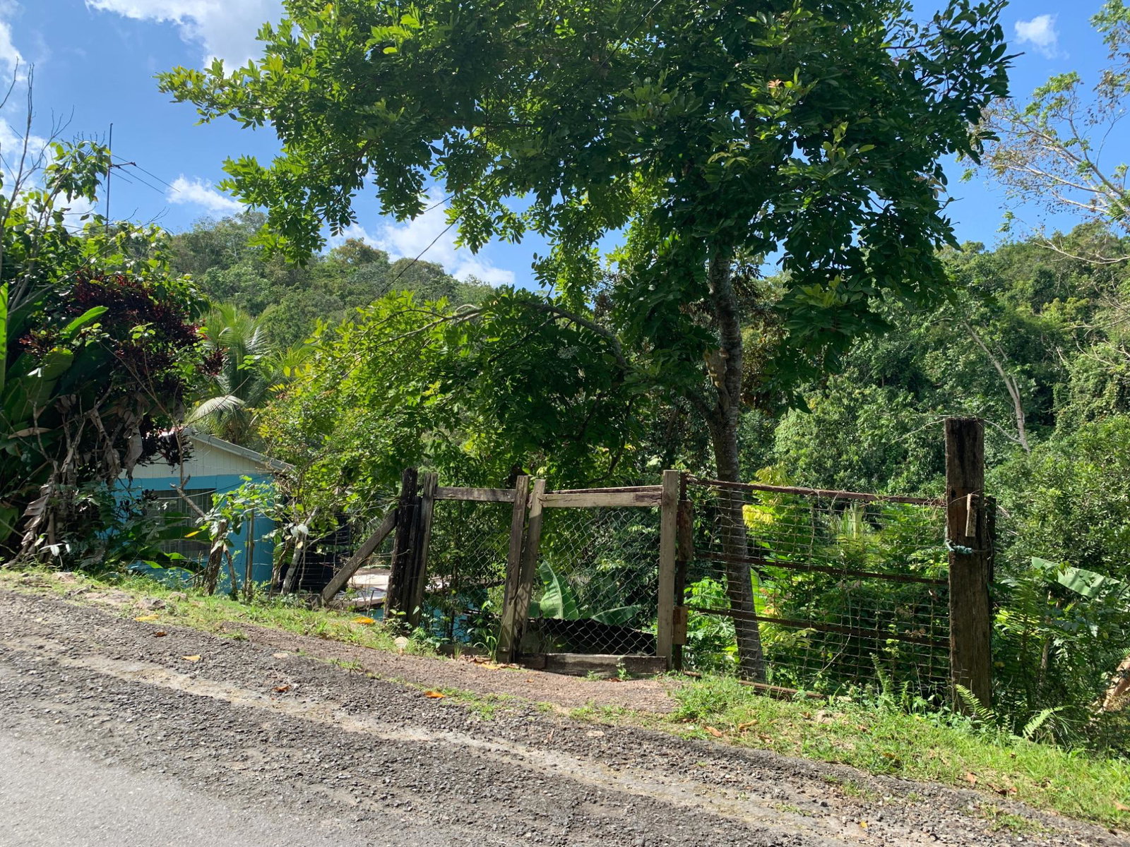 4-Acres-of-Prime-Development-Land-for-Sale-in-Queenhythe-Jamaica Thirteenth image of 186 Queenhythe in Queenhythe, St. Ann, Jamaica - property is For Sale