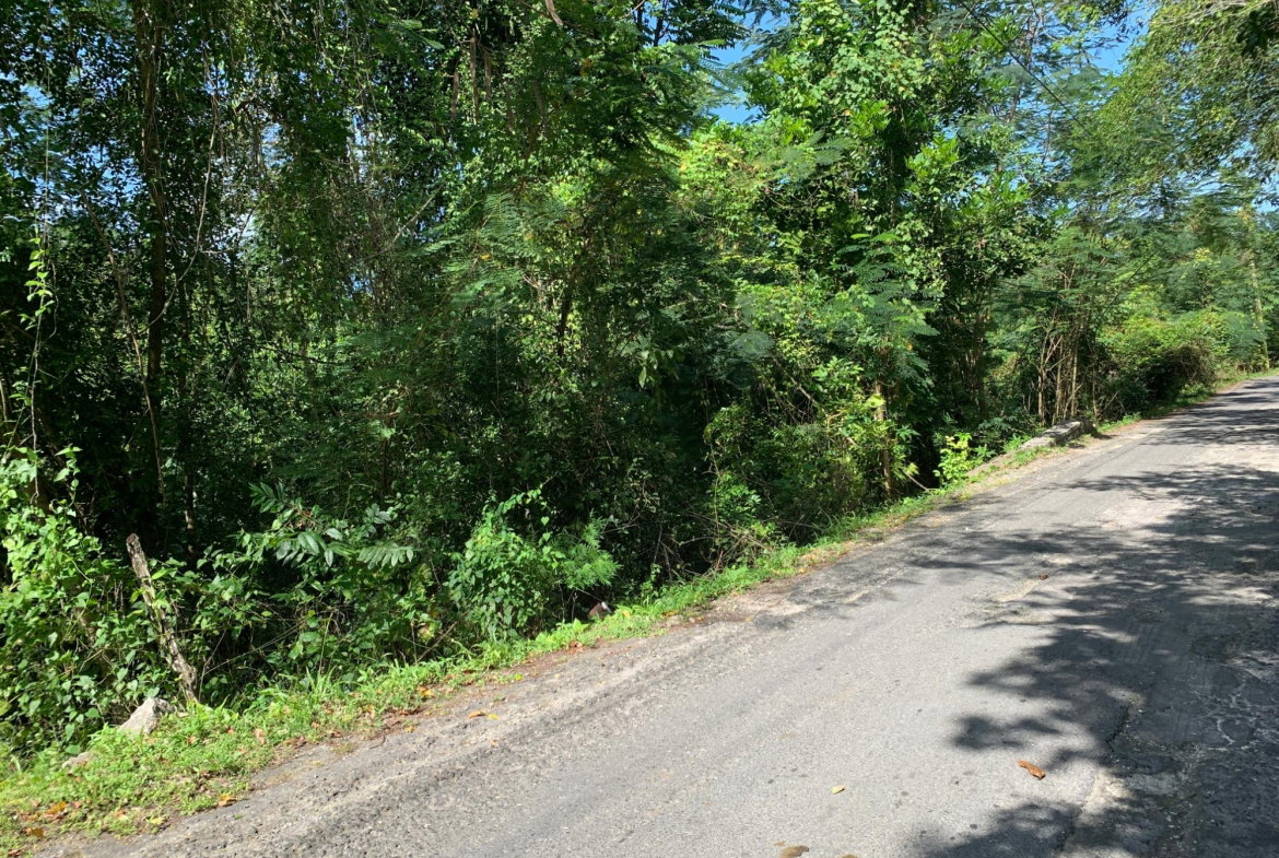 Fourteenth image of 186 Queenhythe in Queenhythe, St. Ann, Jamaica - property is For Sale
