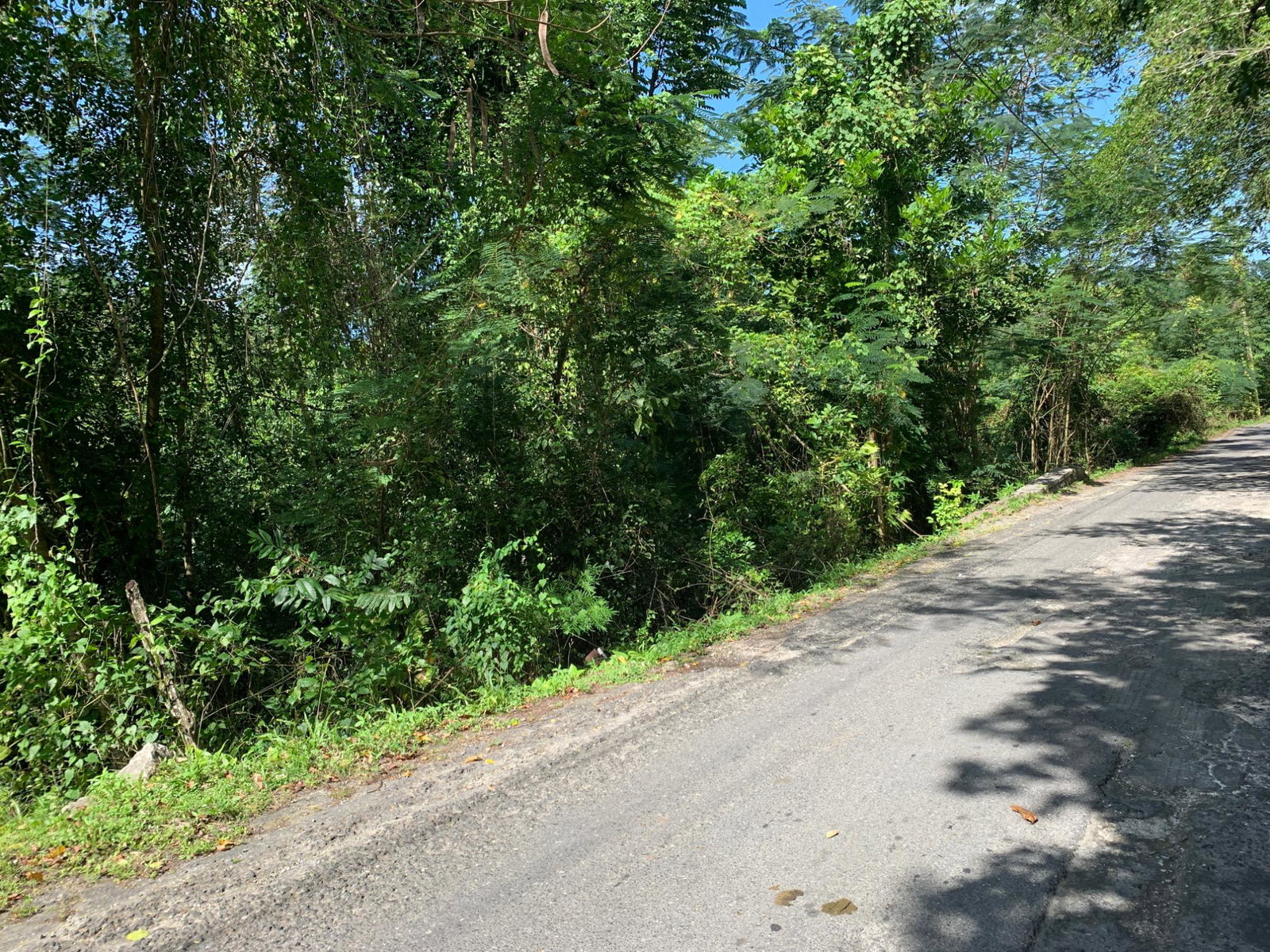 4-Acres-of-Prime-Development-Land-for-Sale-in-Queenhythe-Jamaica Fourteenth image of 186 Queenhythe in Queenhythe, St. Ann, Jamaica - property is For Sale