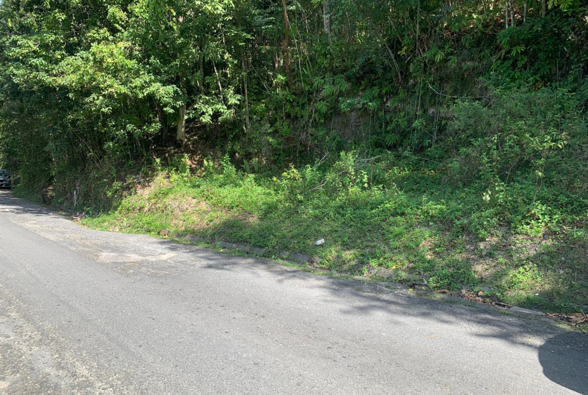 Fifteenth image of 186 Queenhythe in Queenhythe, St. Ann, Jamaica - property is For Sale